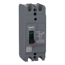 Cầu dao tự động 2P 30A